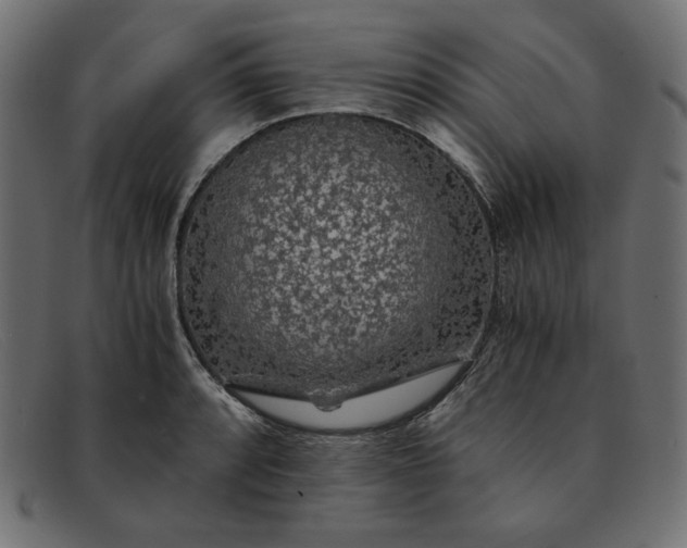 X0000091861088200709191111