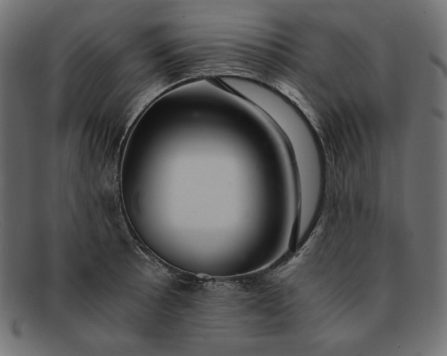 X0000091861089200709191111