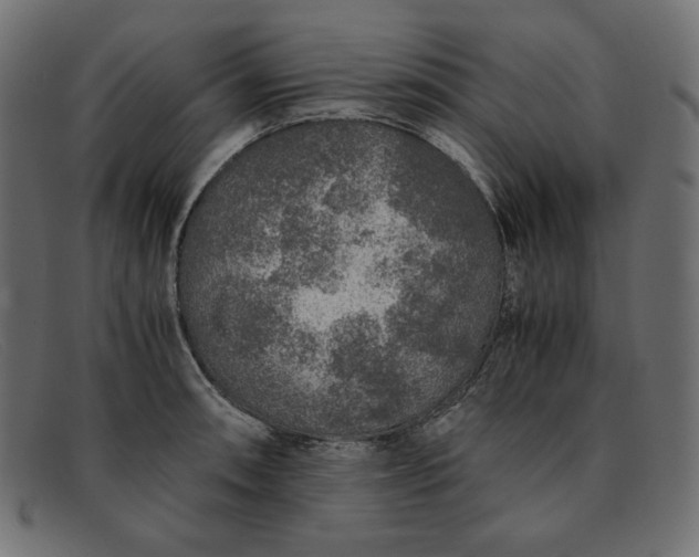 X0000091861090200709191111