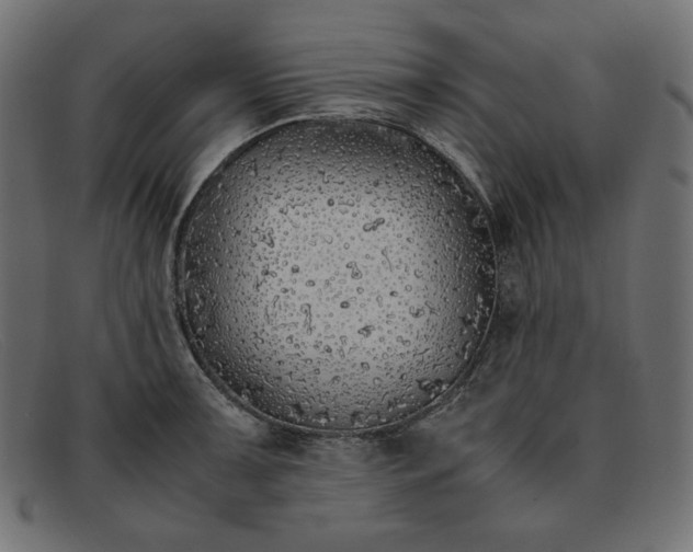 X0000091861091200709191111