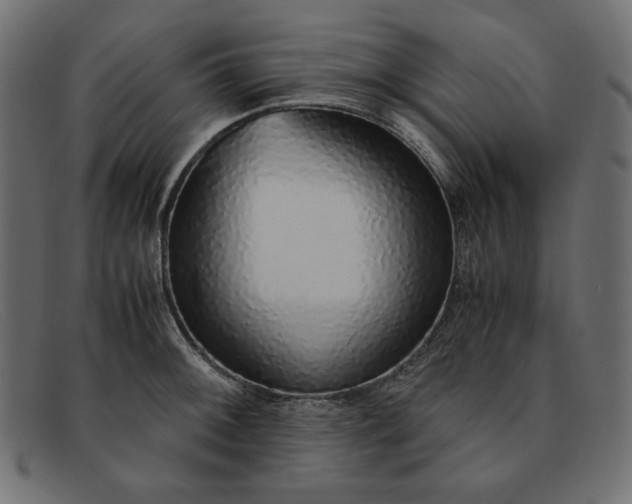 X0000091861092200709191111