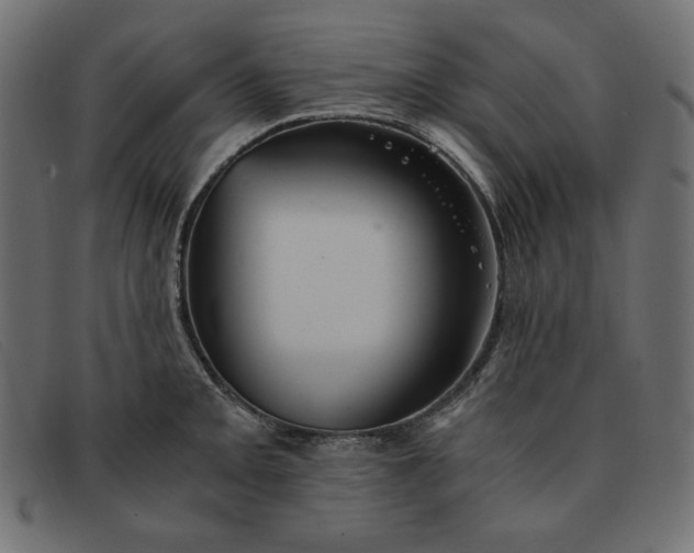 X0000091861093200709191111