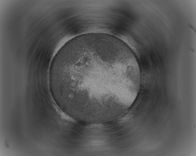 X0000091861094200709191111