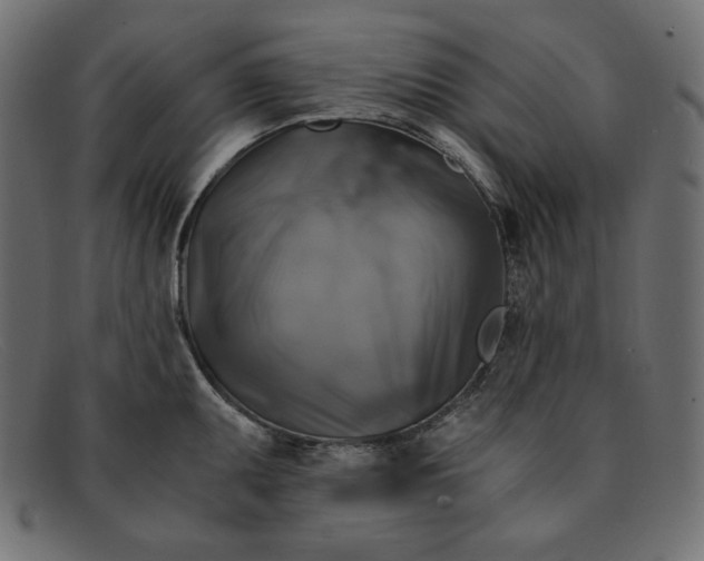 X0000091861095200709191111