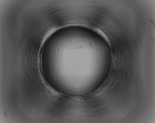 X0000091861096200709191111