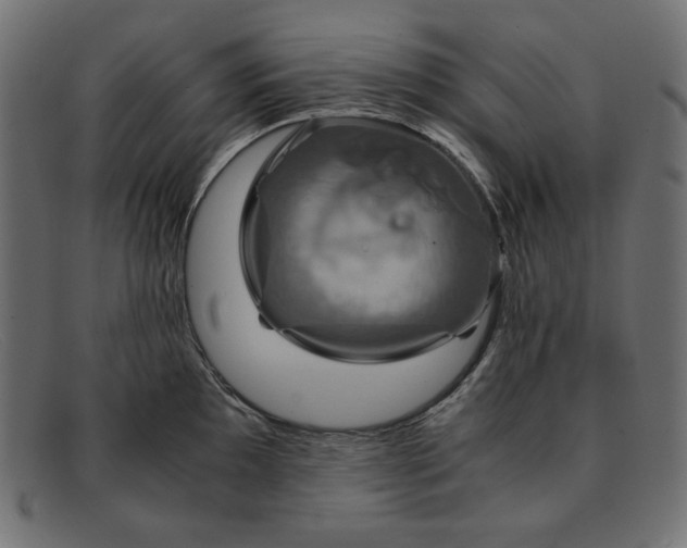 X0000091861097200709191111