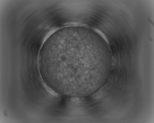 X0000091861098200709191111