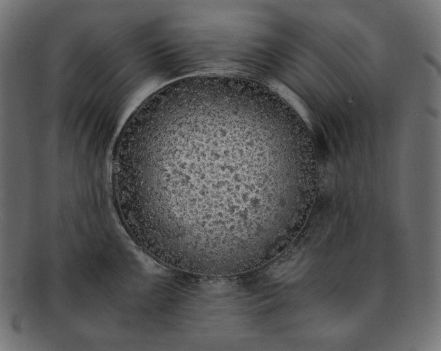 X0000091861099200709191111