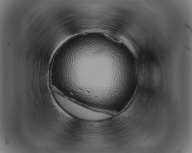 X0000091861100200709191111