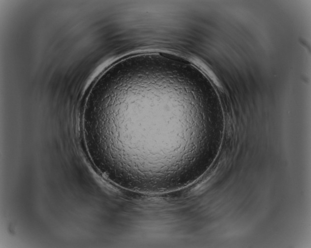 X0000091861101200709191111