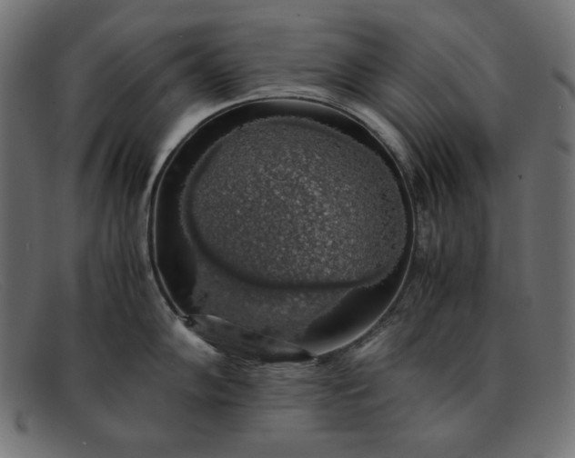 X0000091861102200709191111