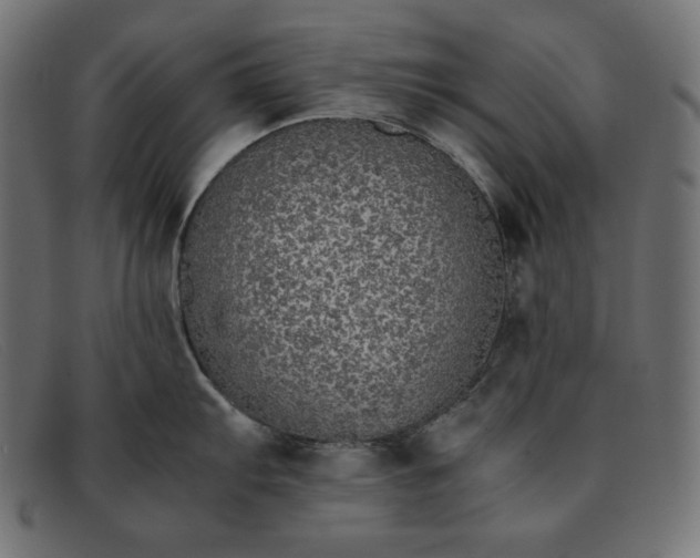 X0000091861103200709191111