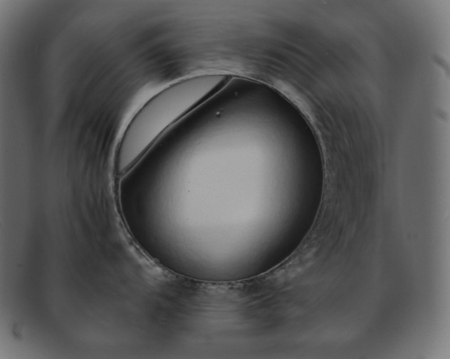 X0000091861104200709191111