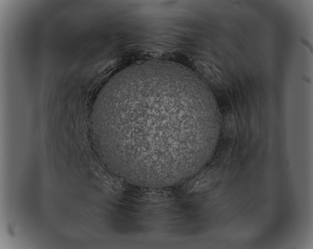 X0000091861105200709191110