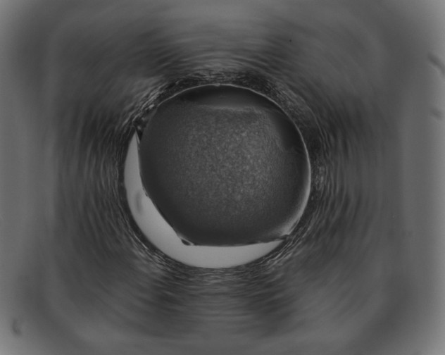 X0000091861108200709191110