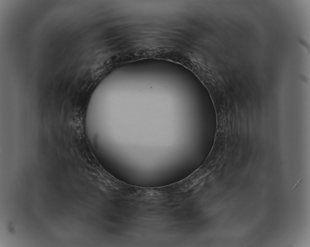 X0000091861109200709191110