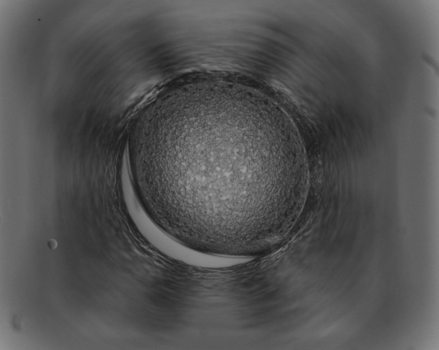 X0000091861110200709191110