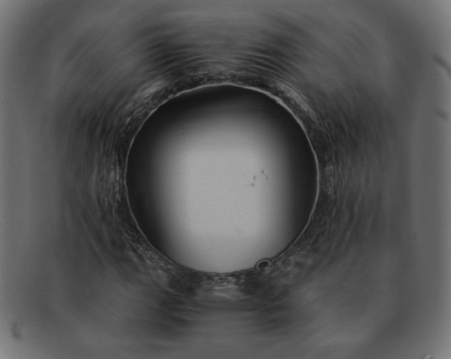 X0000091861111200709191111