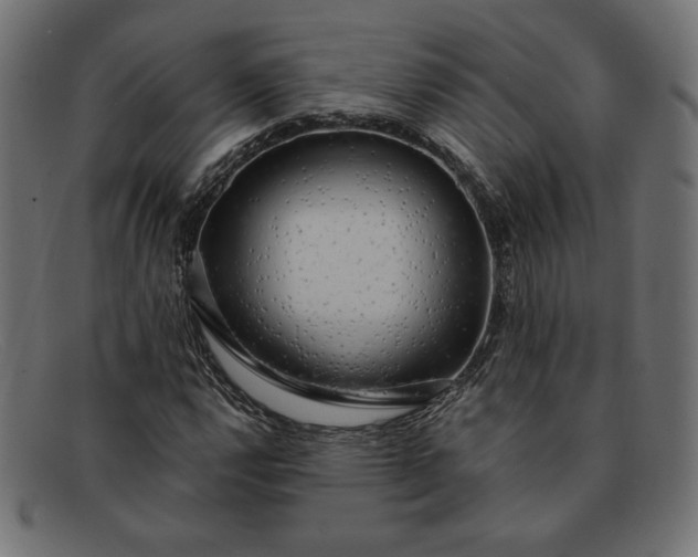 X0000091861112200709191111