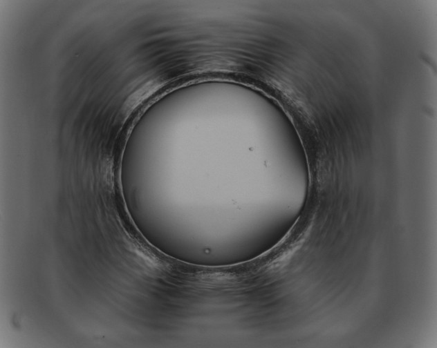 X0000091861113200709191111