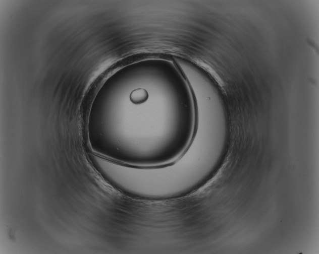 X0000091861114200709191111