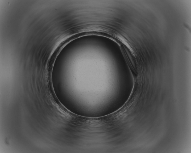 X0000091861116200709191111