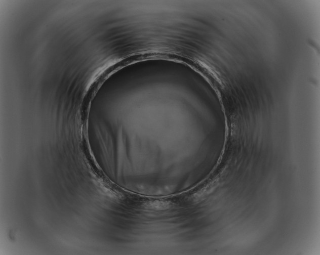 X0000091861117200709191111