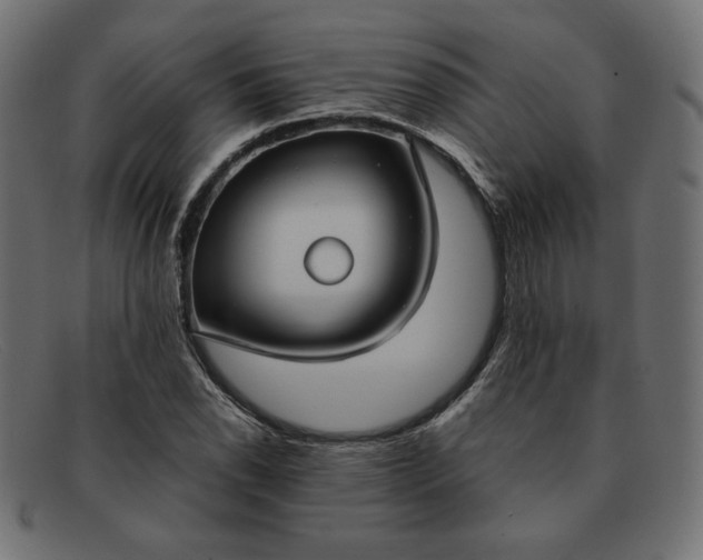 X0000091861118200709191111