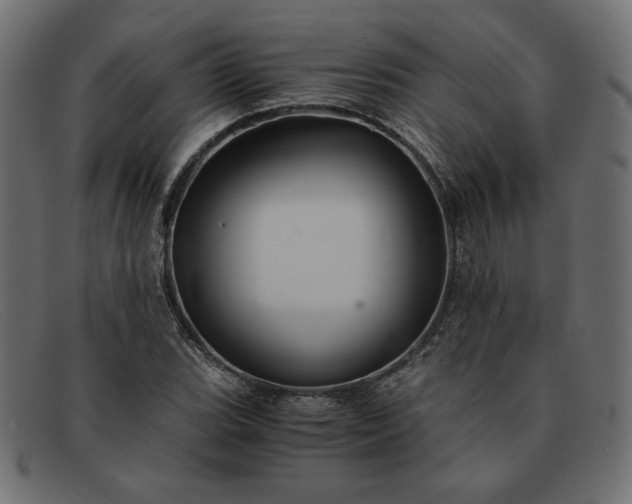 X0000091861119200709191111