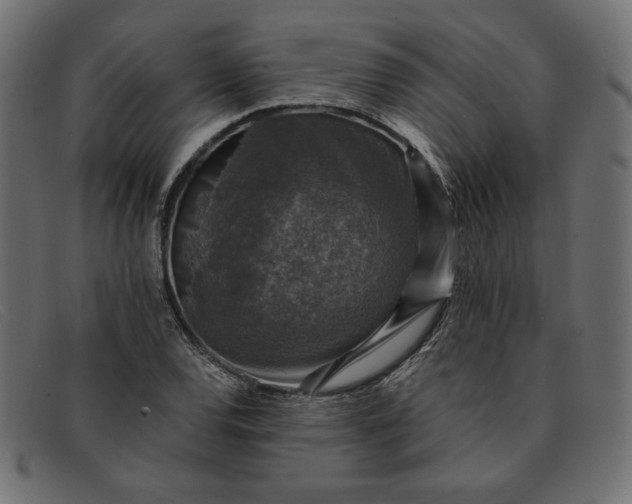 X0000091861120200709191111