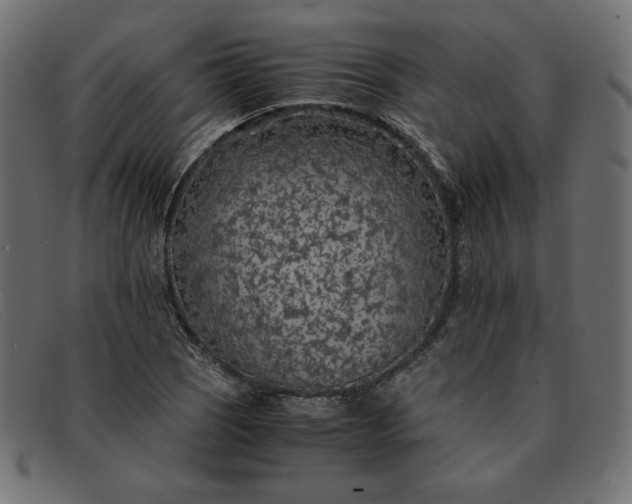 X0000091861121200709191111