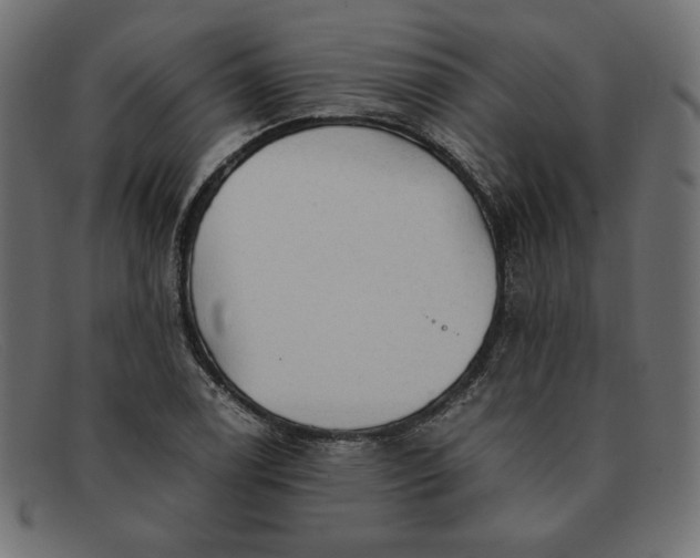 X0000091861122200709191111