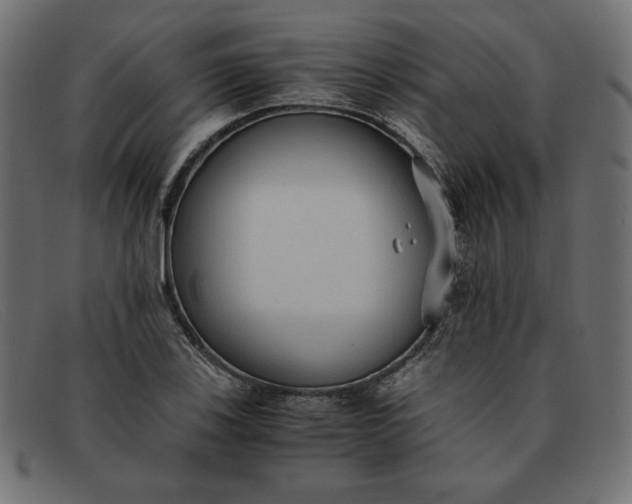 X0000091861123200709191111