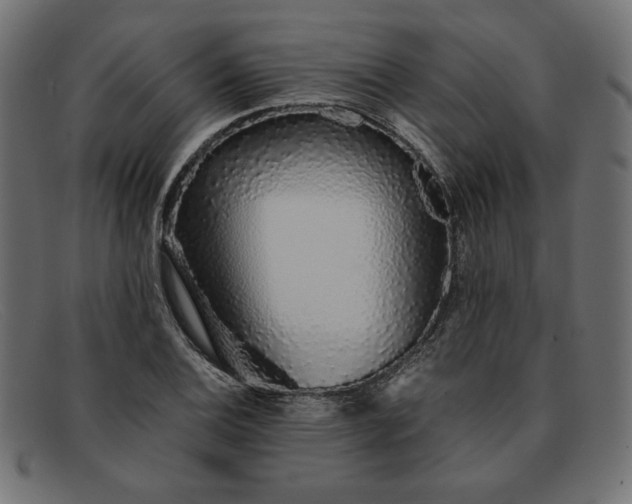 X0000091861124200709191111