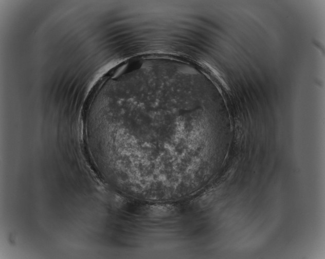 X0000091861125200709191111