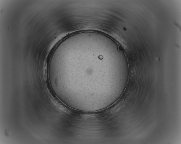 X0000091861126200709191111