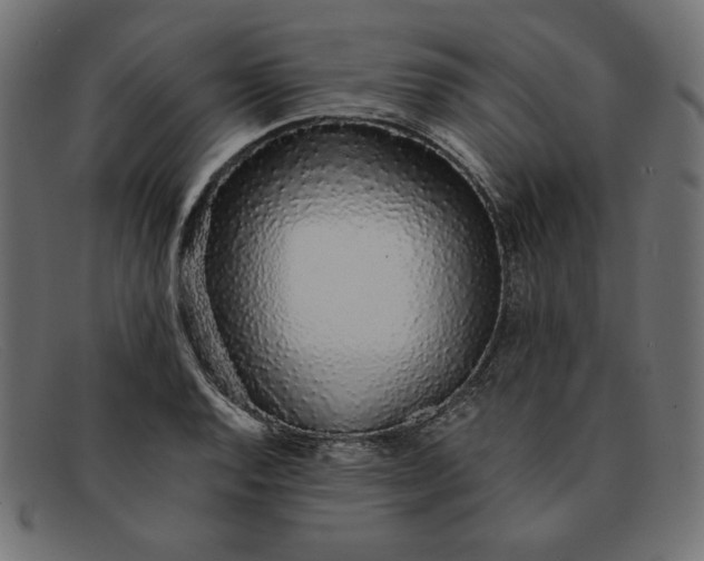 X0000091861128200709191111