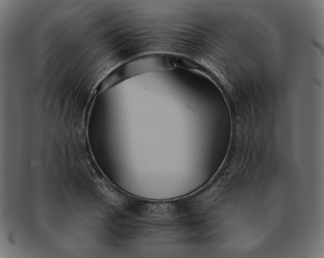 X0000091861129200709191111