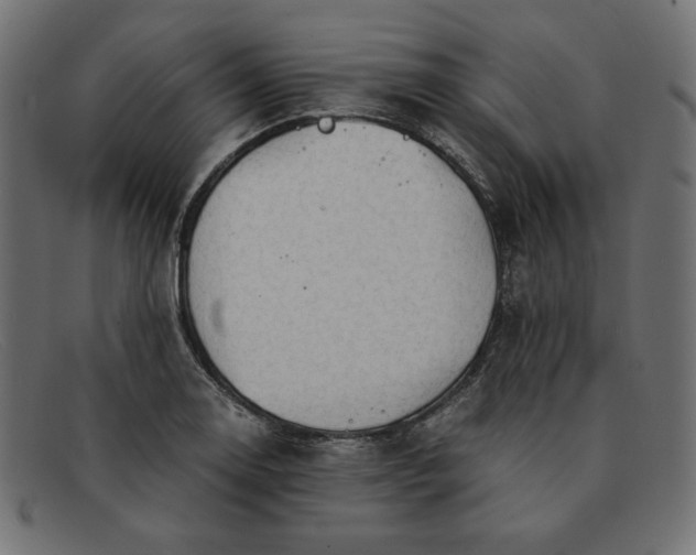 X0000091861130200709191111