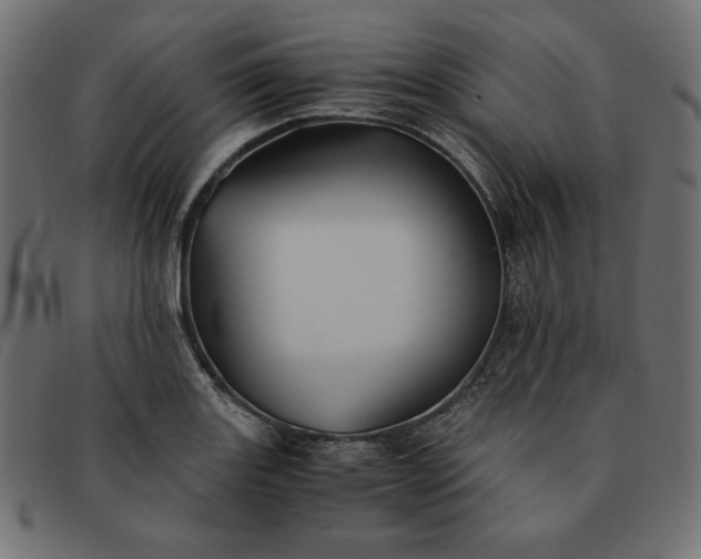 X0000091861131200709191111