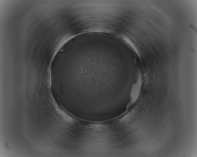 X0000091861132200709191111