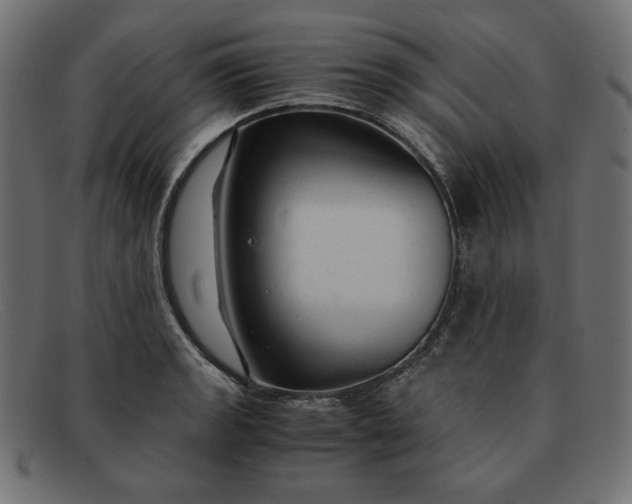 X0000091861133200709191111