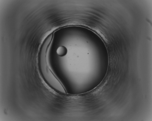 X0000091861134200709191111