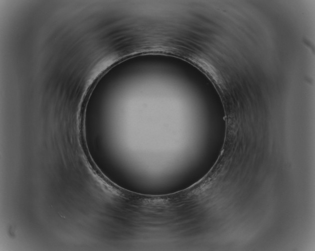 X0000091861135200709191111