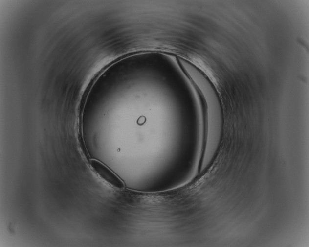 X0000091861136200709191111