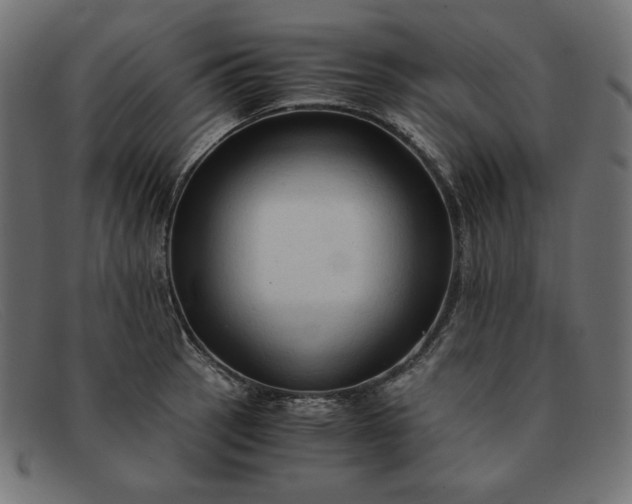 X0000091861137200709191111