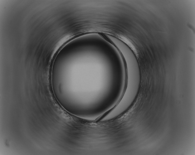 X0000091861138200709191111