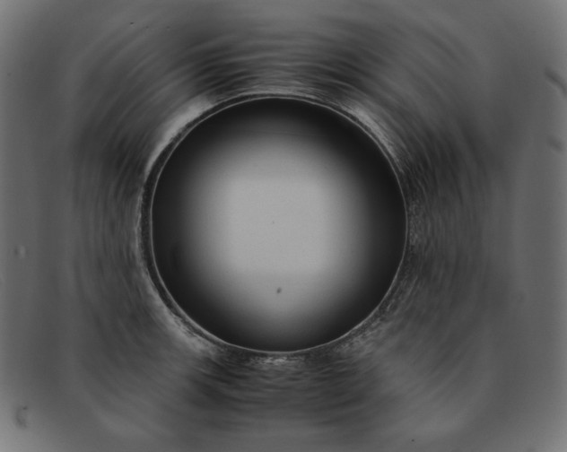 X0000091861139200709191111