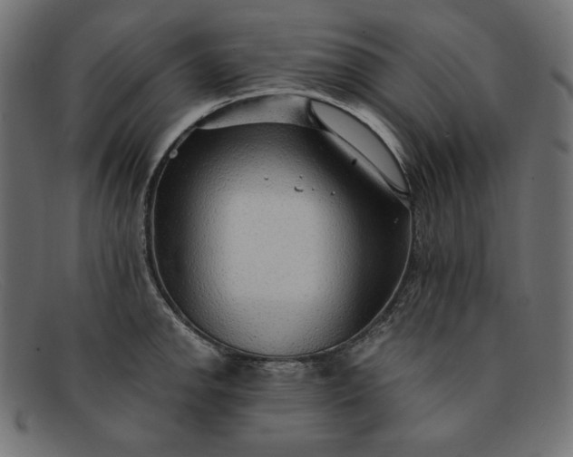 X0000091861142200709191111