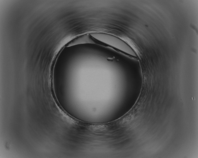 X0000091861143200709191111